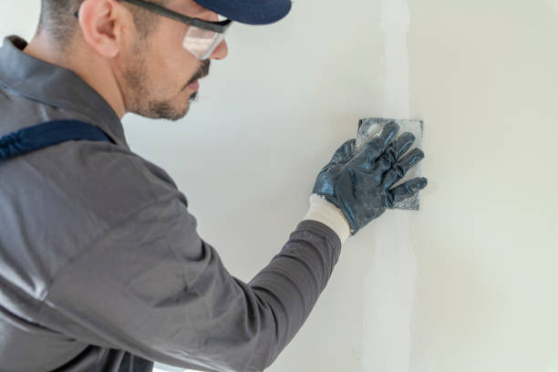 Best Wallpaper Removal and Painting  in Englewood, CO